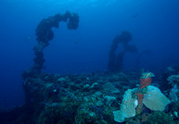 2014 - TJ Truk Fujikawa Maru