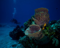 2014 - TJ Cozumel Palancar Caves
